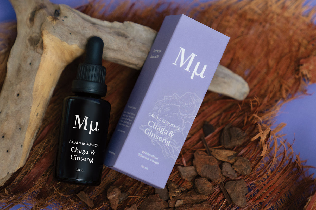 Mµ Chaga & Ginseng / Calm & Resilience (30 ml dropper bottle)