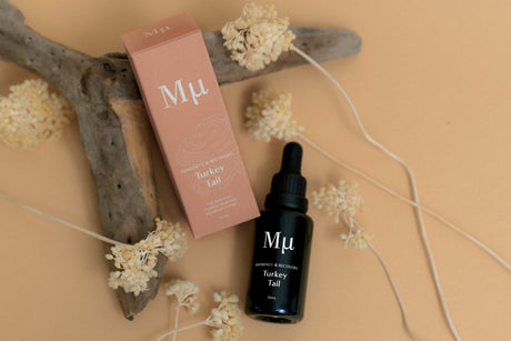 Mµ Set: Lion's Mane (Focus & Memory), Cordyceps (Strength & Recovery), Reishi (Balance & Harmony), Chaga and Ginseng (Calm & Resilience) and Turkey Tail (Recovery & Immunity)